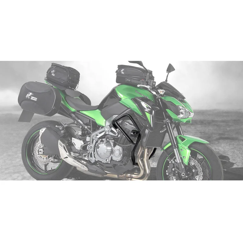 Kawasaki Z900 Protection - Engine Guard