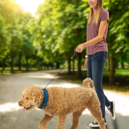 RADDOG ALL-IN-ONE COLLAR LEASH - Red / 40 -45cm (M)