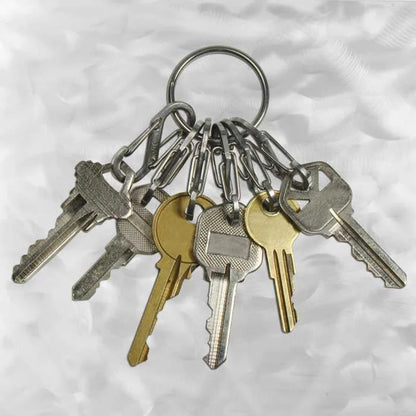 KEYRING BIG LOCKER WITH S-BINERS - Plastic
