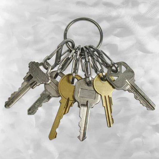 KEYRING BIG LOCKER WITH S-BINERS - Plastic