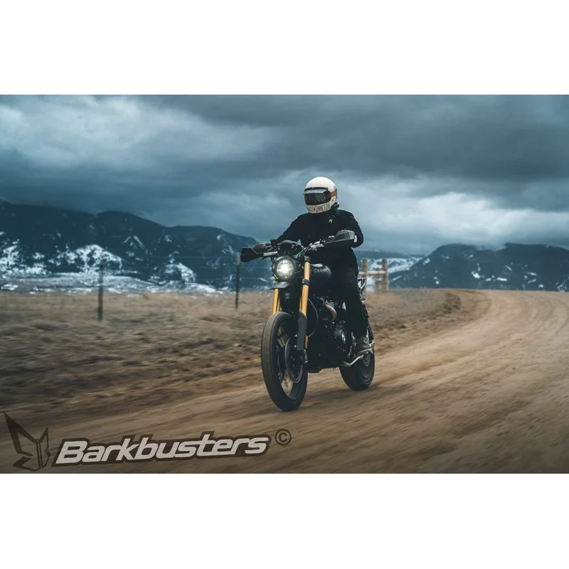 Deflectors - Carbon by Barkbusters