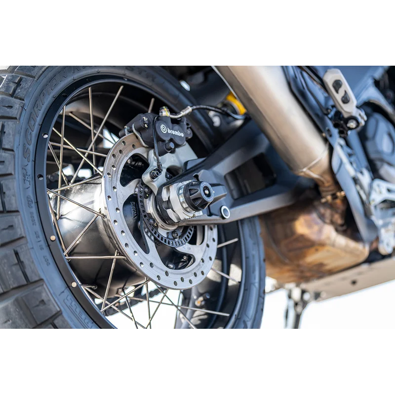 Ducati Desert X Protection - Slider - Rear