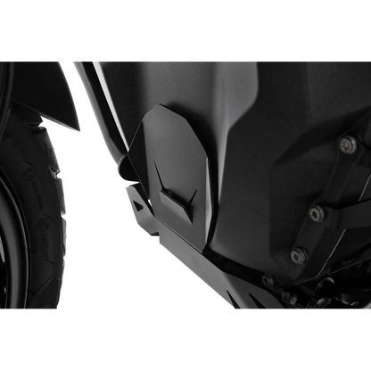 BMW R 1300 GS Protection - Engine Housing Protectors