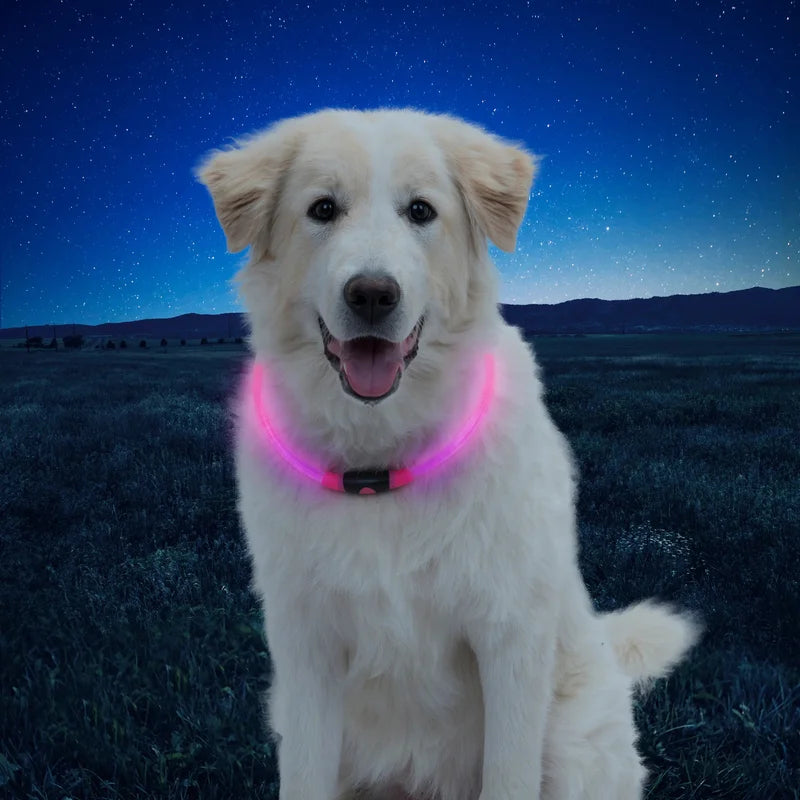 NITEHOWL® LED SAFETY NECKLACE - Orange