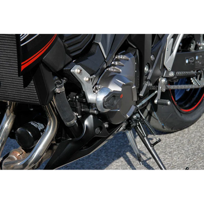 Kawasaki ZX6R Protection - Frame Sliders