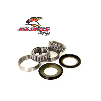 Steering Bearing Kit (1020)