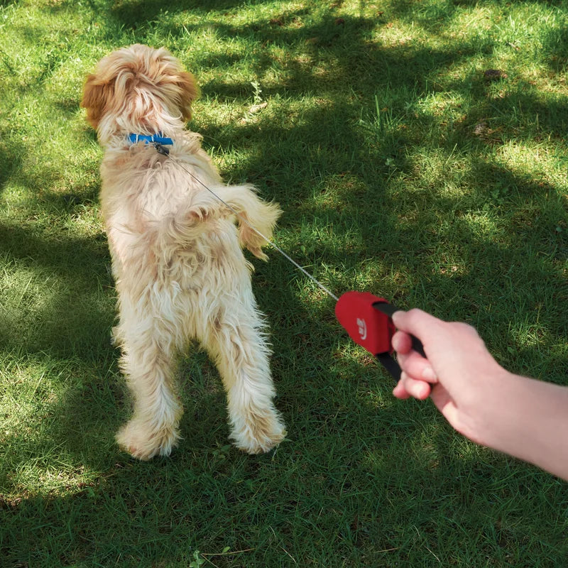 RADDOG RETRACTABLE POCKET LEASH - Large