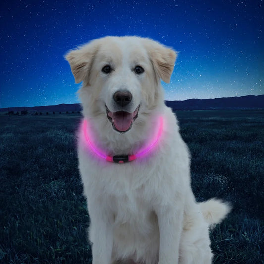 NITEHOWL® LED SAFETY NECKLACE - Blue