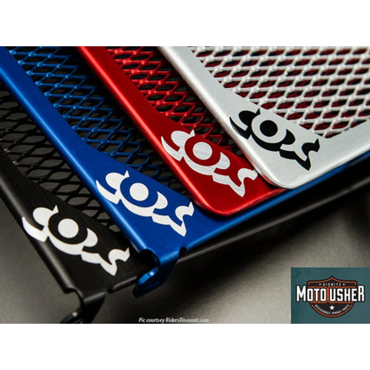 Kawasaki 1000 Protection - Radiator Guard - Titanium