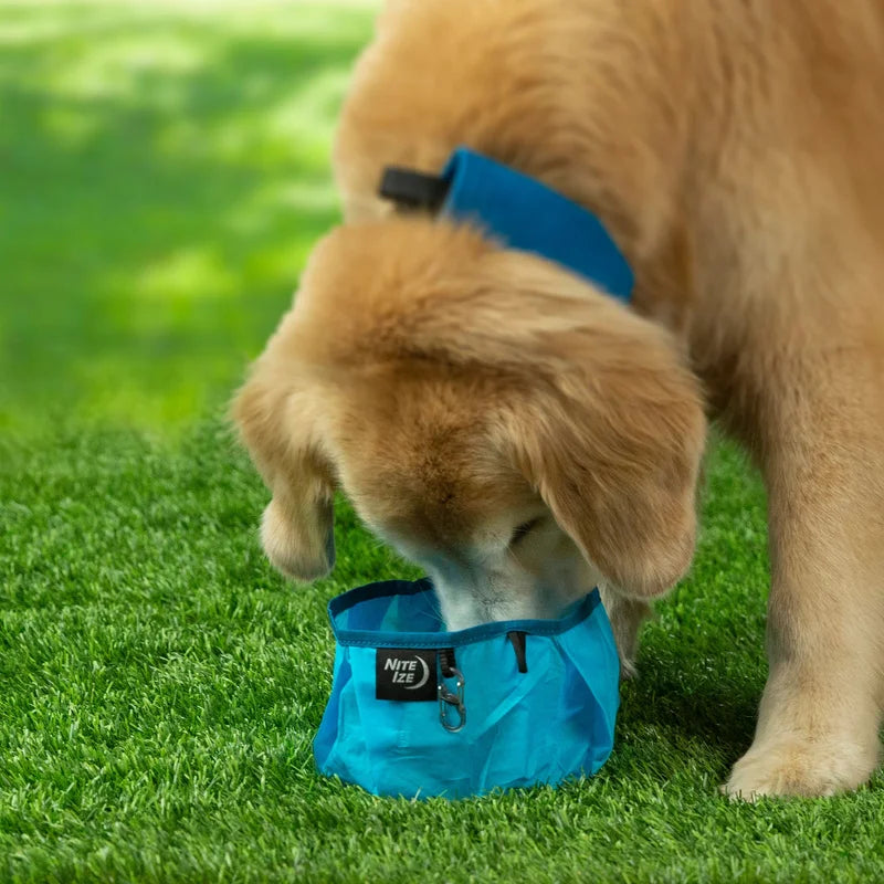 RADDOG COLLAPSIBLE BOWL - Blue