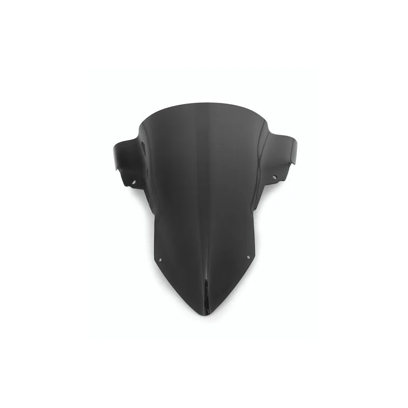 BMW S/M 1000 RR Screen - Windshield ENDURANCE PRO - Clear