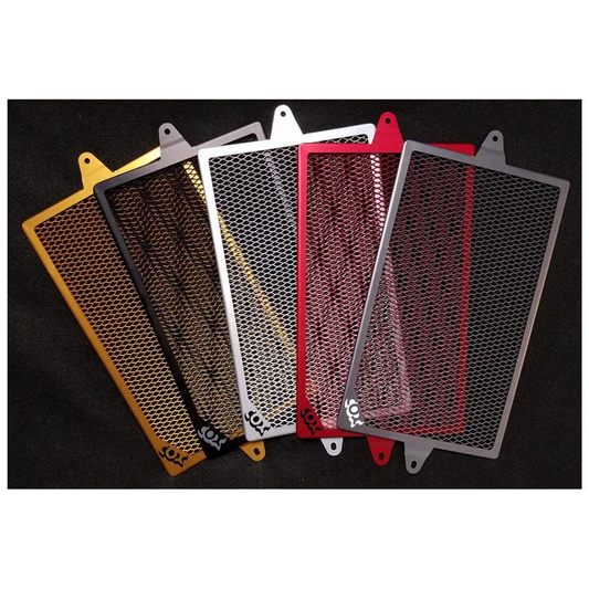 BMW R1200GS Protection - Radiator Guard - Black