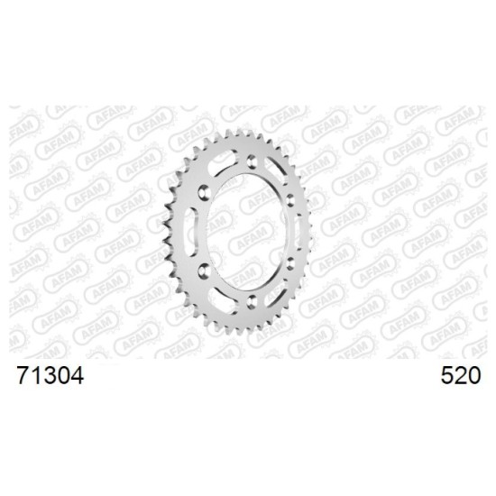 Afam 71304-41 Rear Sprocket - 41 Teeth